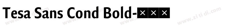 Tesa Sans Cond Bold字体转换 Tesa Sans Cond Bold字体转换